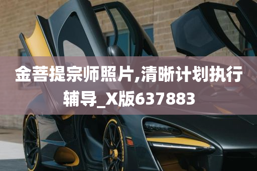 金菩提宗师照片,清晰计划执行辅导_X版637883