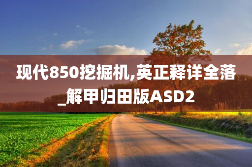 现代850挖掘机,英正释详全落_解甲归田版ASD2