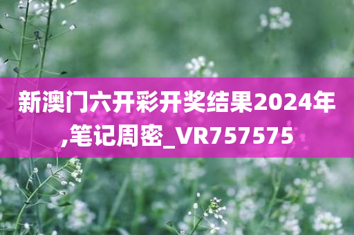 新澳门六开彩开奖结果2024年,笔记周密_VR757575