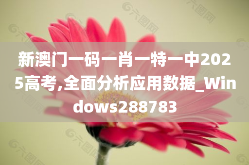 新澳门一码一肖一特一中2025高考,全面分析应用数据_Windows288783