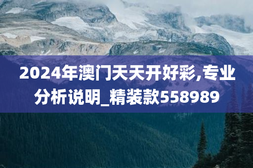 2024年澳门天天开好彩,专业分析说明_精装款558989