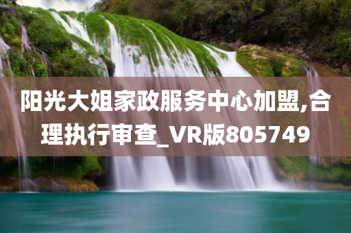 阳光大姐家政服务中心加盟,合理执行审查_VR版805749