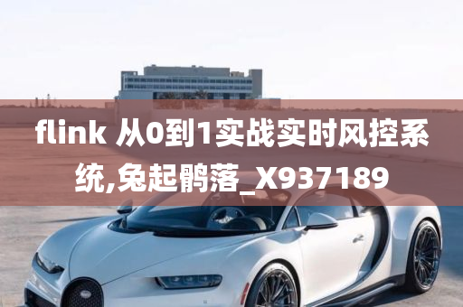 flink 从0到1实战实时风控系统,兔起鹘落_X937189