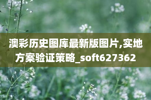 澳彩历史图库最新版图片,实地方案验证策略_soft627362