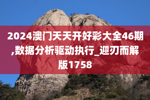 2024澳门天天开好彩大全46期,数据分析驱动执行_迎刃而解版1758