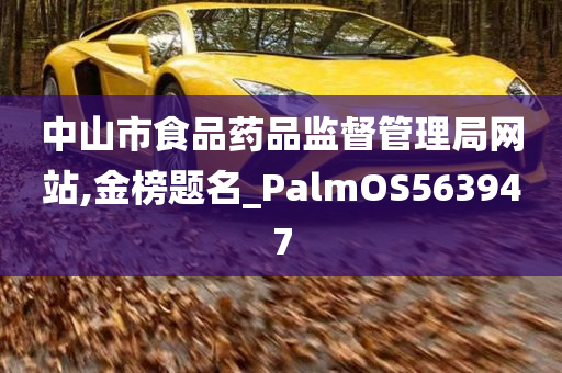 中山市食品药品监督管理局网站,金榜题名_PalmOS563947