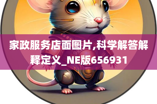 家政服务店面图片,科学解答解释定义_NE版656931