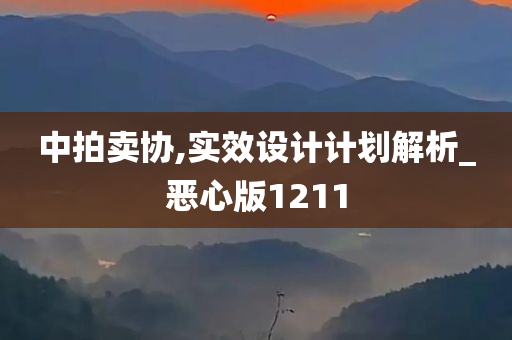 中拍卖协,实效设计计划解析_恶心版1211