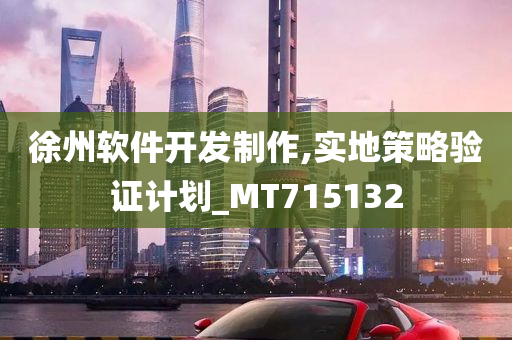 徐州软件开发制作,实地策略验证计划_MT715132