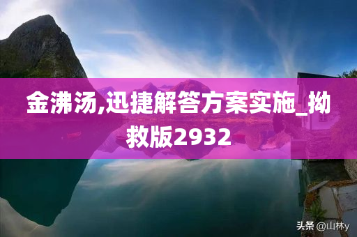 金沸汤,迅捷解答方案实施_拗救版2932