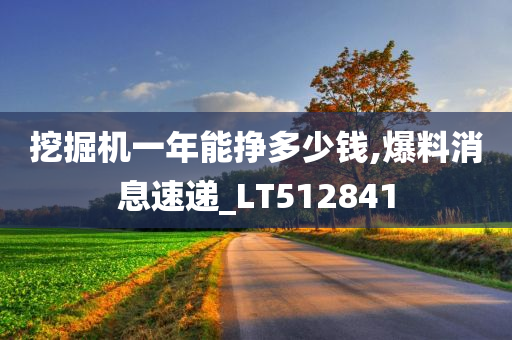 挖掘机一年能挣多少钱,爆料消息速递_LT512841