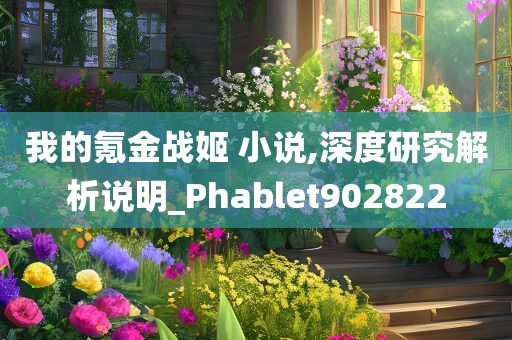 我的氪金战姬 小说,深度研究解析说明_Phablet902822