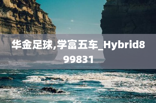 华金足球,学富五车_Hybrid899831