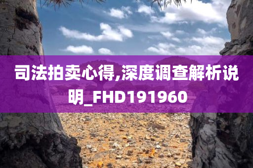 司法拍卖心得,深度调查解析说明_FHD191960