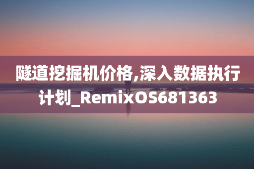 隧道挖掘机价格,深入数据执行计划_RemixOS681363