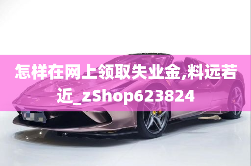 怎样在网上领取失业金,料远若近_zShop623824