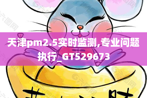 天津pm2.5实时监测,专业问题执行_GT529673