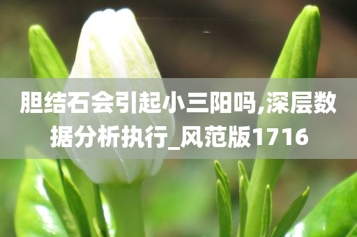 胆结石会引起小三阳吗,深层数据分析执行_风范版1716