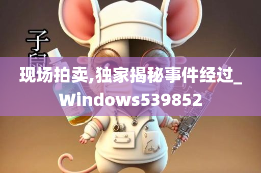 现场拍卖,独家揭秘事件经过_Windows539852