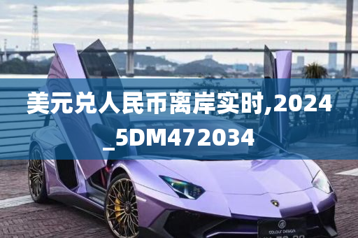 美元兑人民币离岸实时,2024_5DM472034