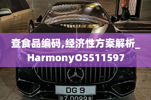 查食品编码,经济性方案解析_HarmonyOS511597