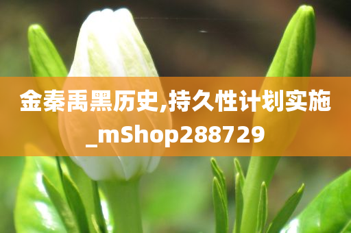 金秦禹黑历史,持久性计划实施_mShop288729