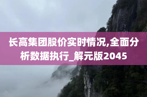 长高集团股价实时情况,全面分析数据执行_解元版2045