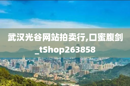 武汉光谷网站拍卖行,口蜜腹剑_tShop263858