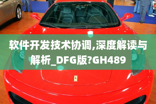 软件开发技术协调,深度解读与解析_DFG版?GH489