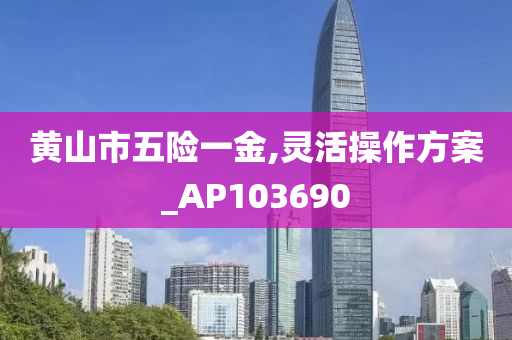 黄山市五险一金,灵活操作方案_AP103690