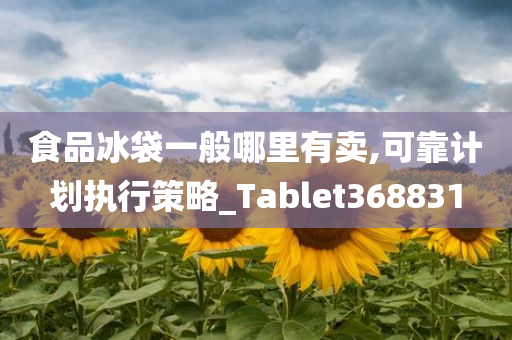 食品冰袋一般哪里有卖,可靠计划执行策略_Tablet368831