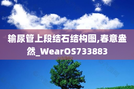 输尿管上段结石结构图,春意盎然_WearOS733883