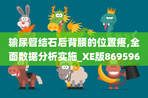 输尿管结石后背腰的位置疼,全面数据分析实施_XE版869596