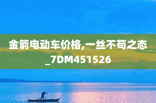 金箭电动车价格,一丝不苟之态_7DM451526