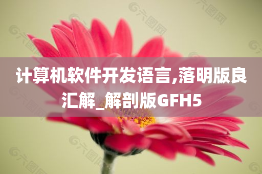 计算机软件开发语言,落明版良汇解_解剖版GFH5