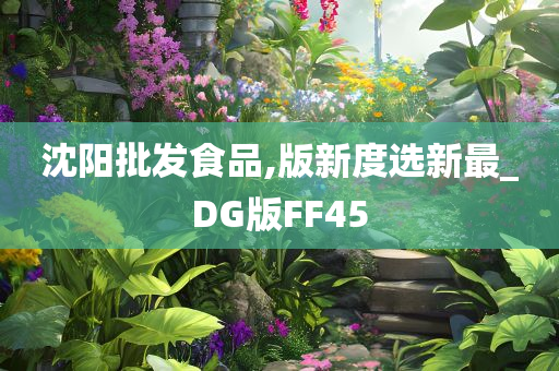 沈阳批发食品,版新度选新最_DG版FF45