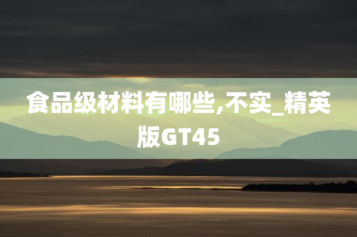 GT45 第7页