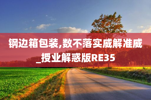 钢边箱包装,数不落实威解准威_授业解惑版RE35