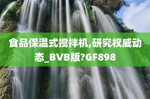 食品保温式搅拌机,研究权威动态_BVB版?GF898