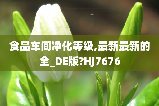 食品车间净化等级,最新最新的全_DE版?HJ7676