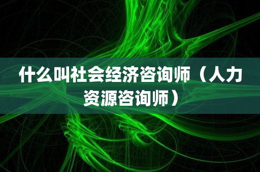 什么叫社会经济咨询师（人力资源咨询师）