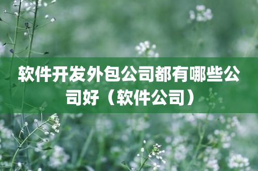 软件开发外包公司都有哪些公司好（软件公司）