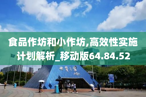 食品作坊和小作坊,高效性实施计划解析_移动版64.84.52