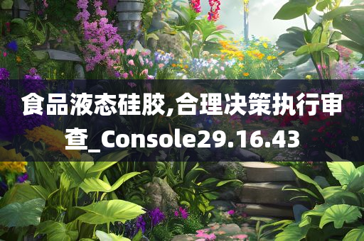 食品液态硅胶,合理决策执行审查_Console29.16.43