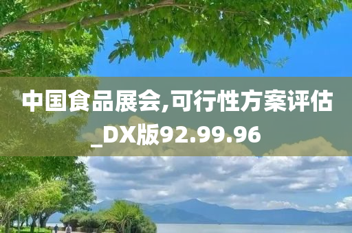 中国食品展会,可行性方案评估_DX版92.99.96