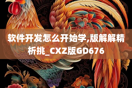 软件开发怎么开始学,版解解精析挑_CXZ版GD676