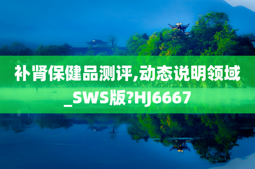 补肾保健品测评,动态说明领域_SWS版?HJ6667