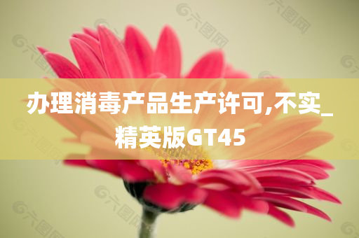 办理消毒产品生产许可,不实_精英版GT45