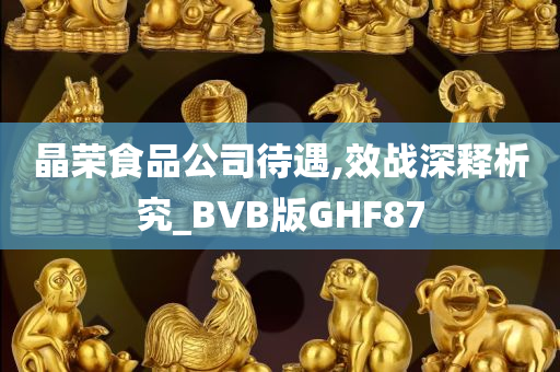 晶荣食品公司待遇,效战深释析究_BVB版GHF87