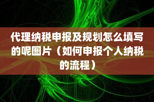 代理纳税申报及规划怎么填写的呢图片（如何申报个人纳税的流程）